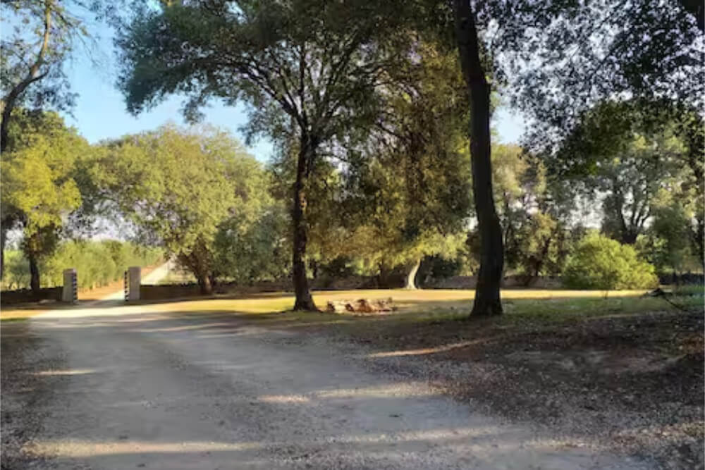 Parco dell'Agriturismo' Bosco di Mudonato Avetrana