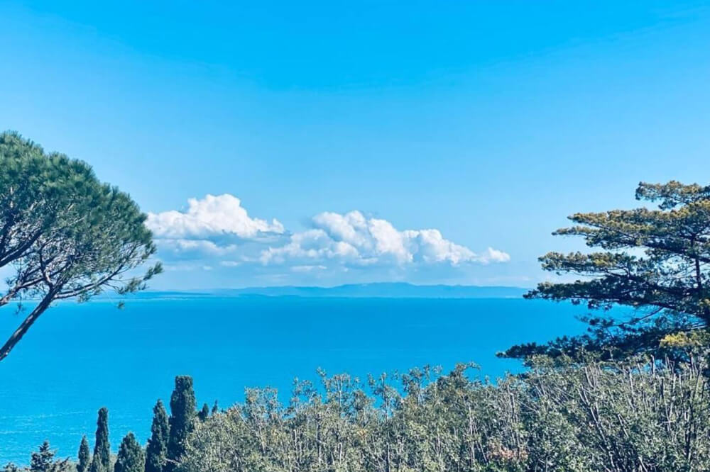 agriturismo bosco di mudonato avetrana